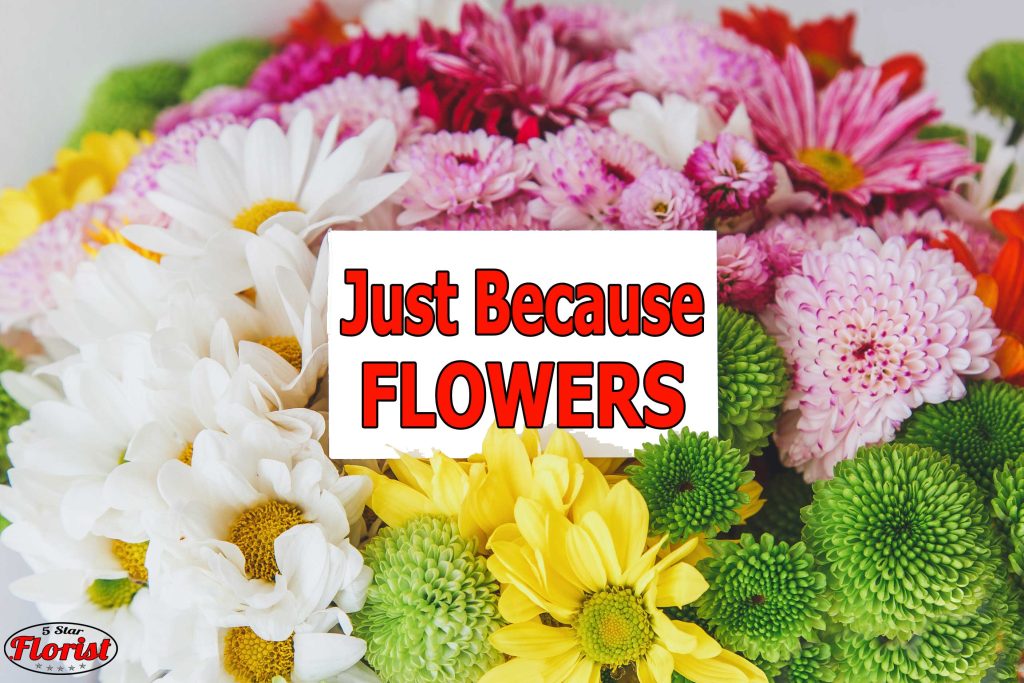 just-because-flowers Victoria